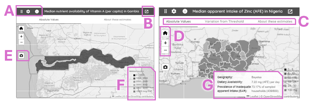 Index image for the mapping interactive graphics in MAPS for national (left image) or sub-national (right image) data